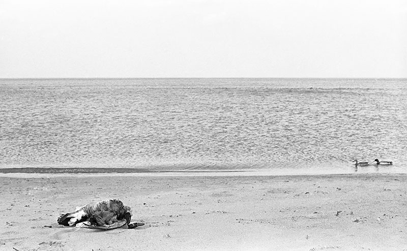 35th Street Beach – Image 2 of 5