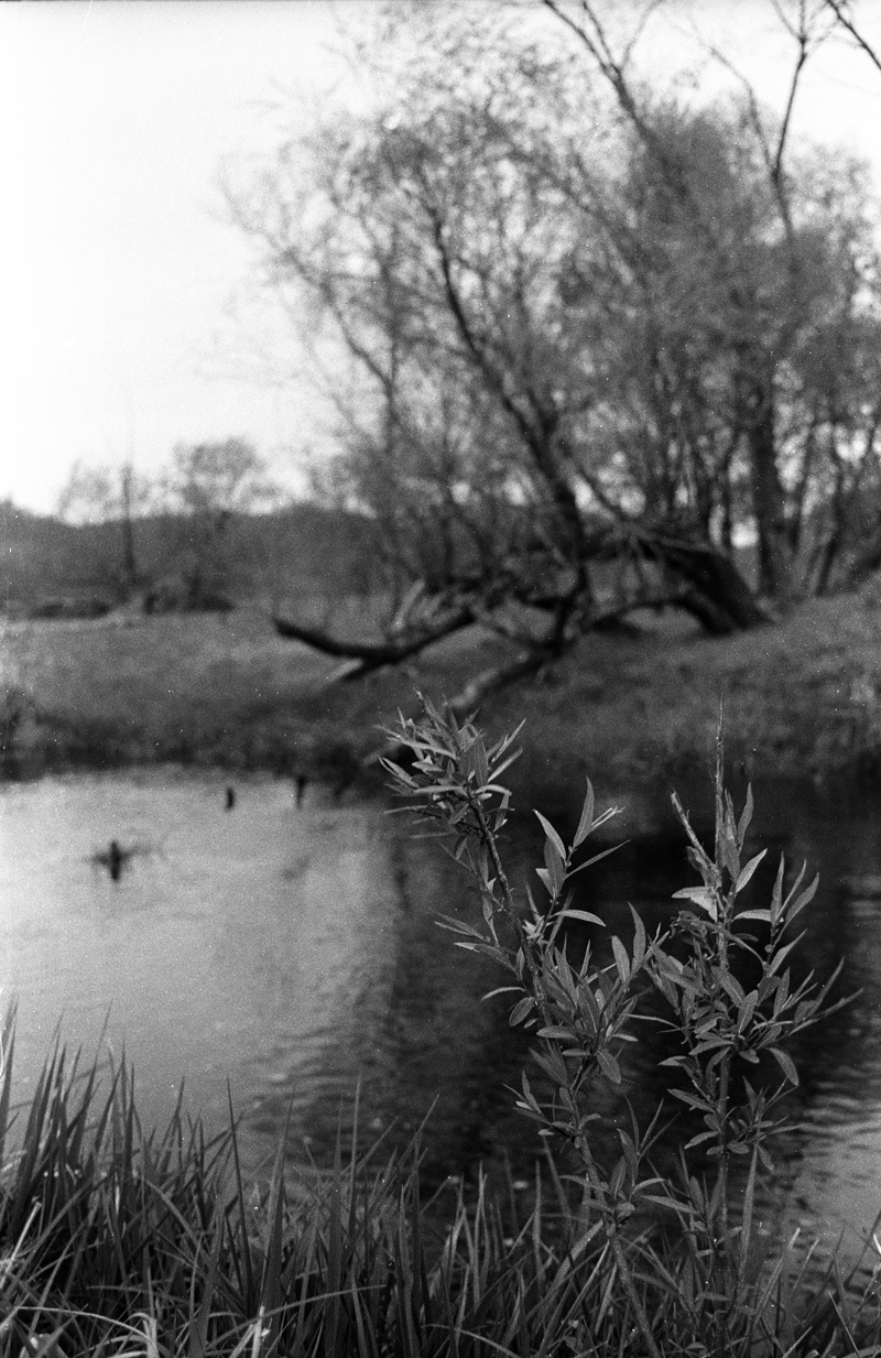 Camping – Image 3 of 12