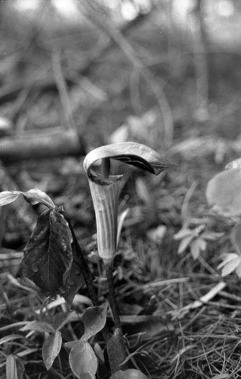 Camping – Image 4 of 12