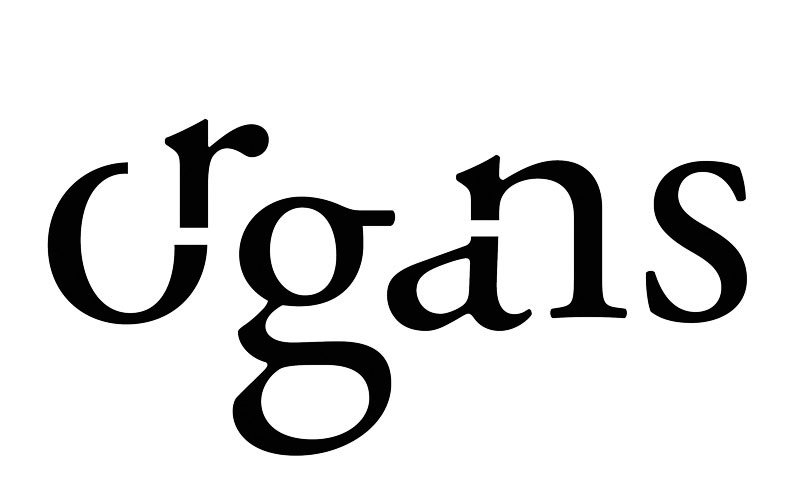 Organs – Image 3 of 8