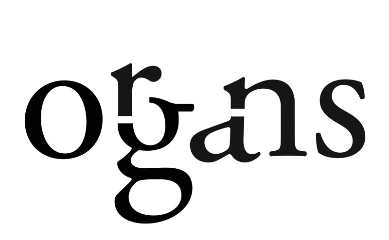 Organs – Image 4 of 8