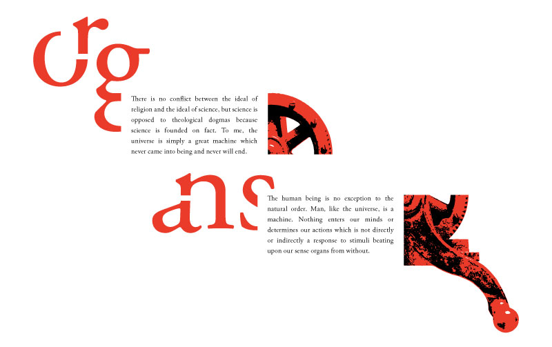 Organs – Image 7 of 8