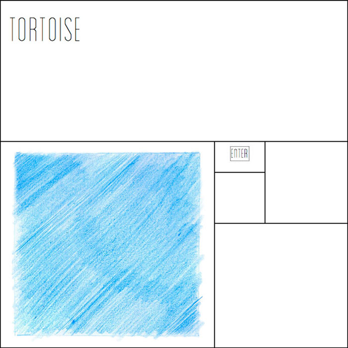 Tortoise Mock Website – Image 1 of 4