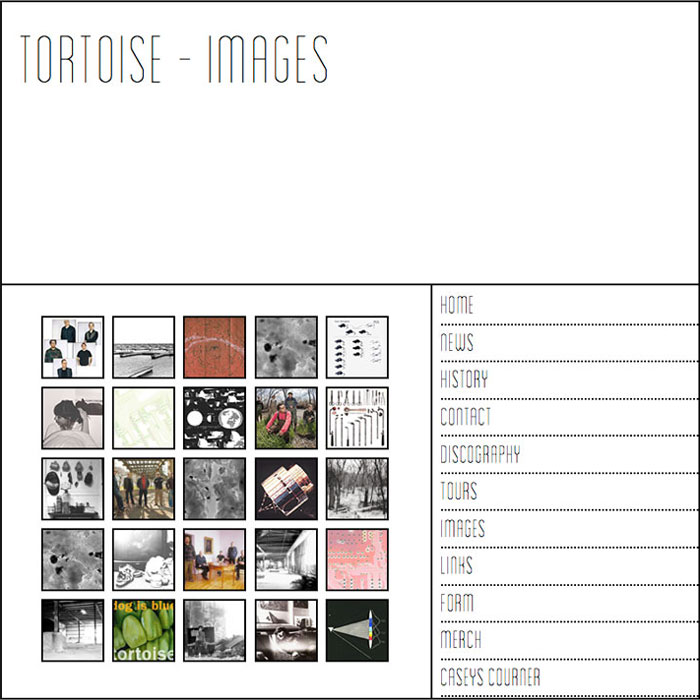 Tortoise Mock Website – Image 4 of 4